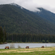 Illustration for article titled Went to a wedding in Manning Park this weekend